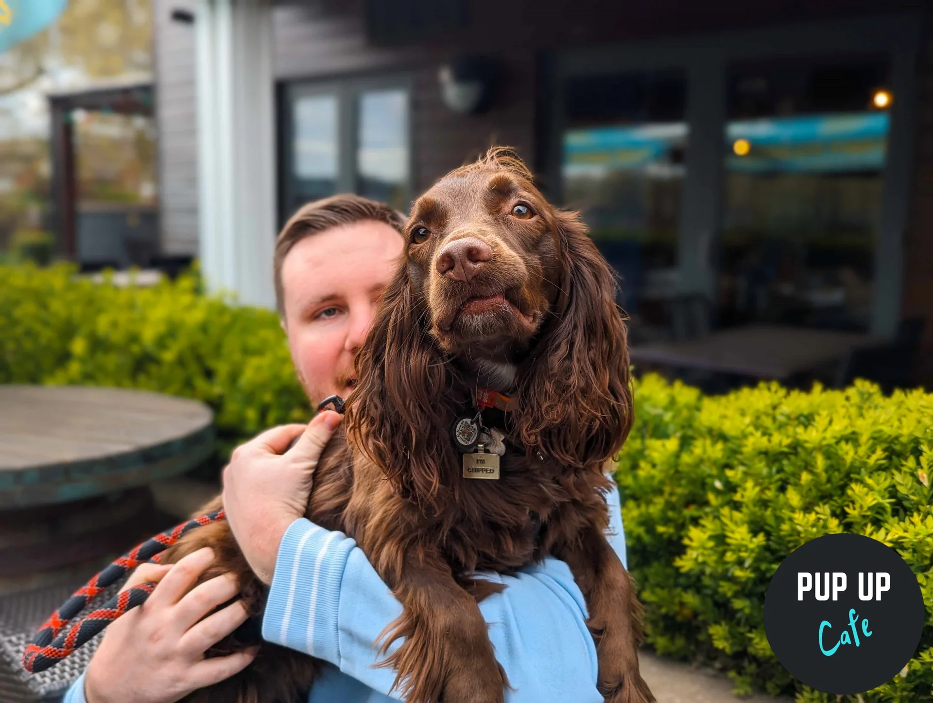Bristol - All Paws Pup Up Cafe ☀️ at The Canteen