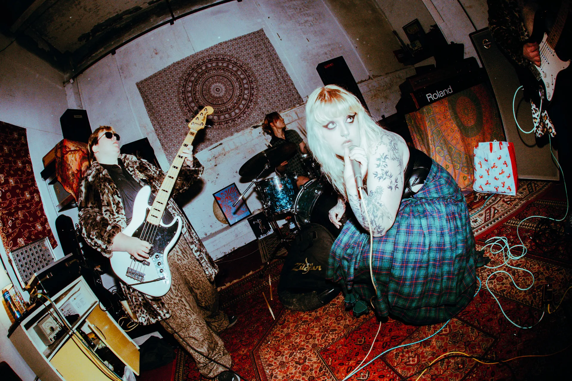 Big Cat Chic + Tay Temple + Amongst The Doubt
