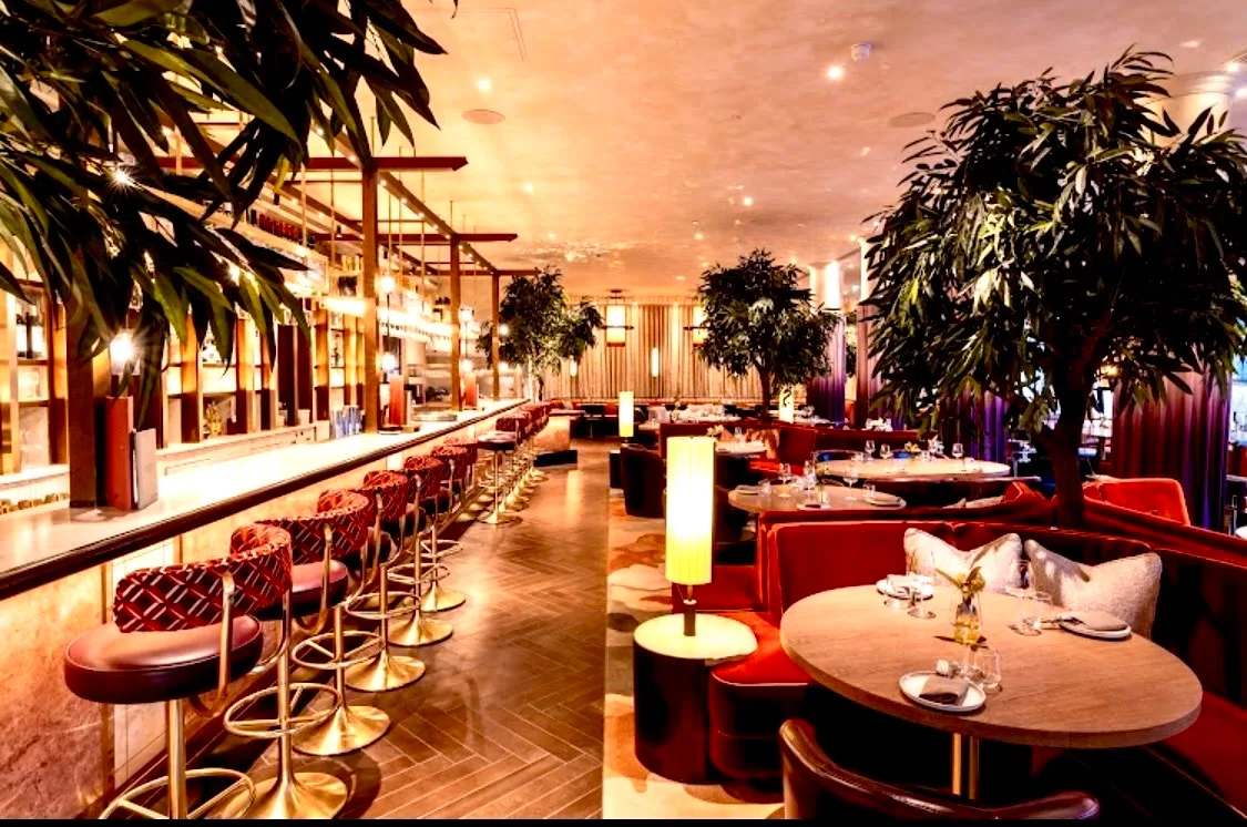 ENRICH YOUR SOCIAL CIRCLE! DINE & SOCIALISE with 40% OFF BILL! MODERN CUISINE!