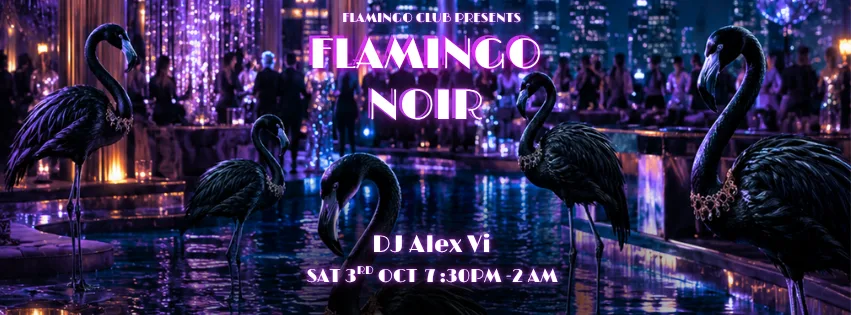 F L A M I N G O NOIR  PARTY 🦩
