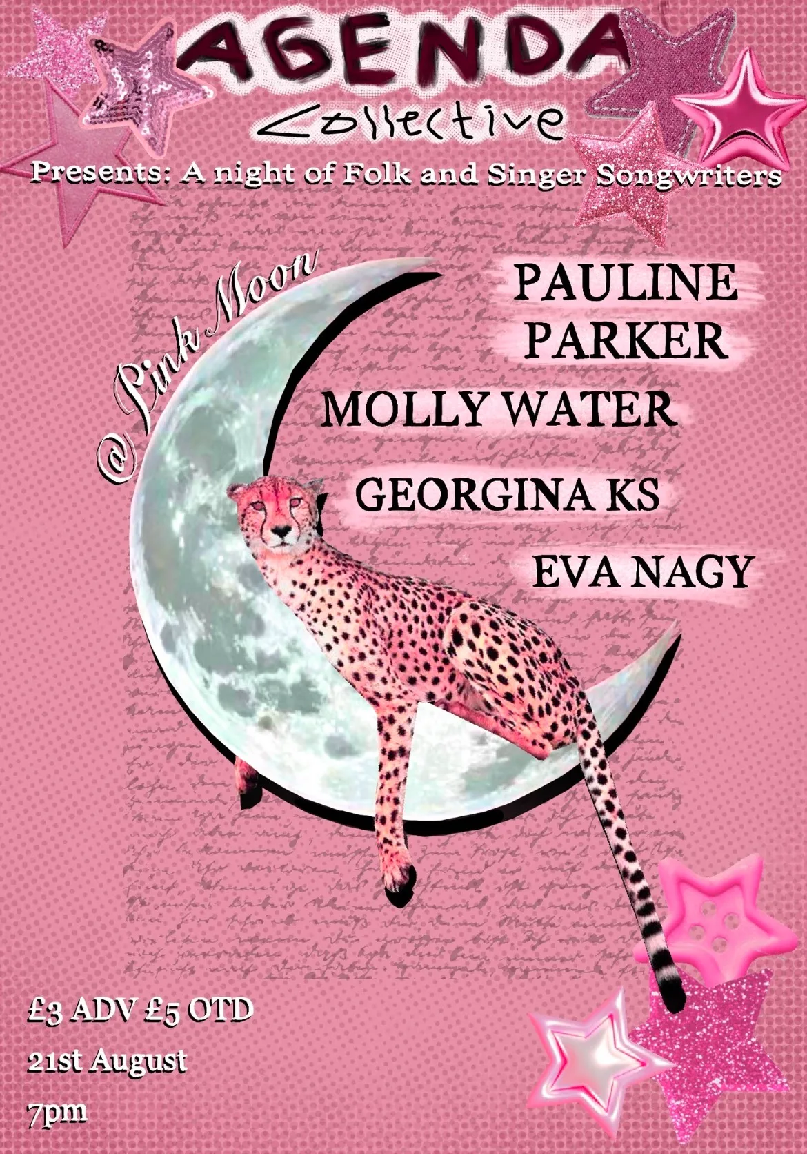Agenda Collective Presents: A night of Folk & Singer Songwriters at Pink Moon