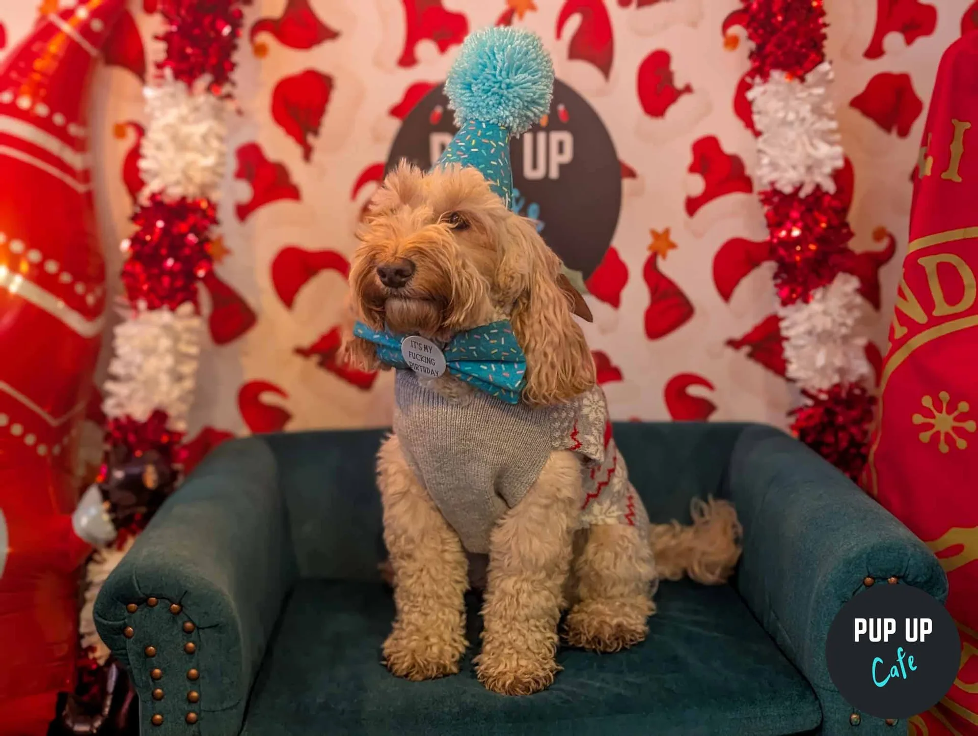 Liverpool - Dashing Doodle Christmas Tour 🎄