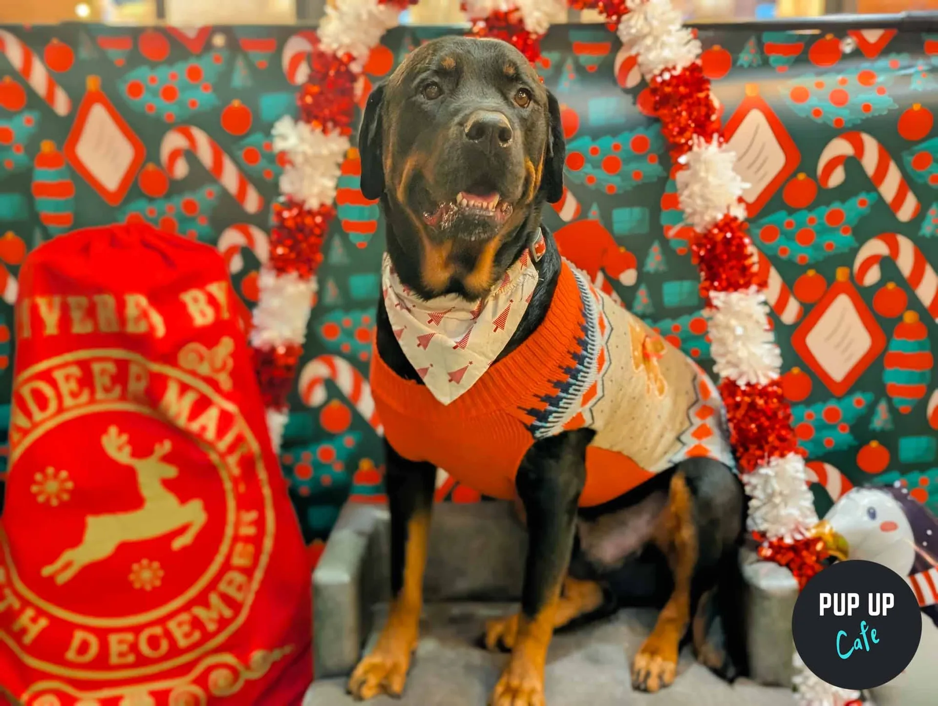 Birmingham - King Sized Canines Christmas Tour🎄 at Alfresco at Alfred Works