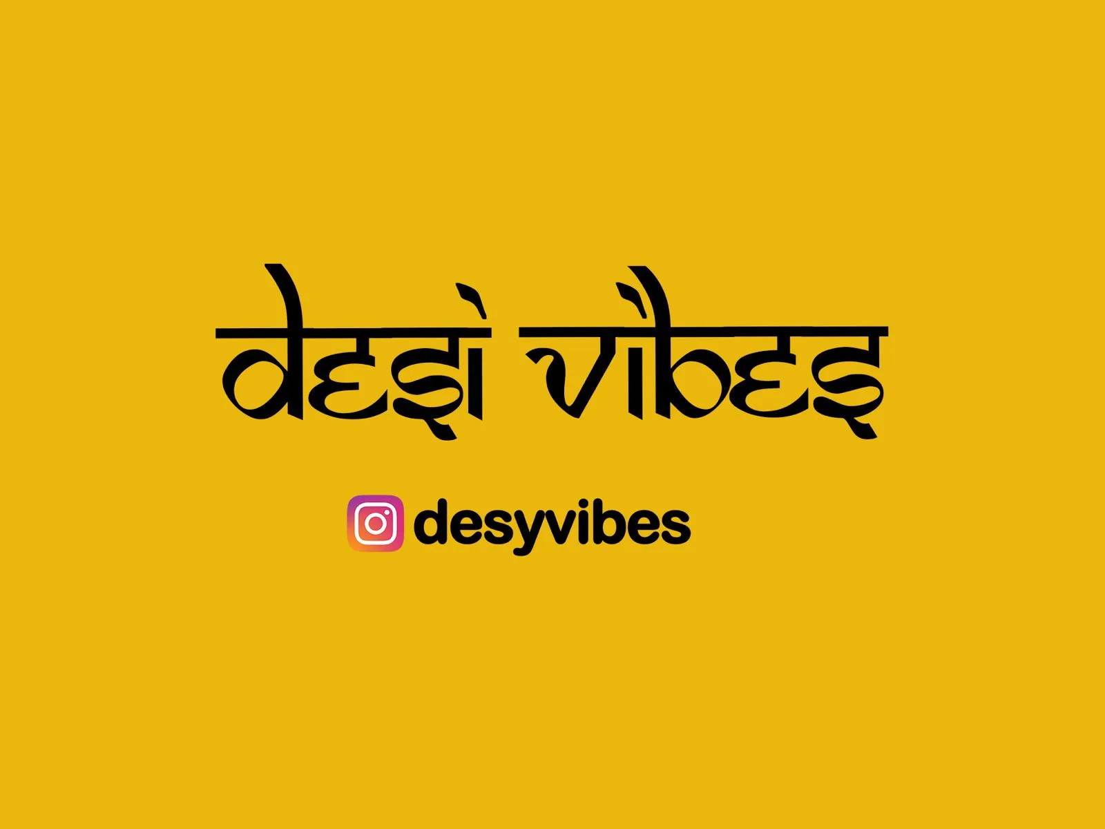 Desi Vibes : PLYMOUTH