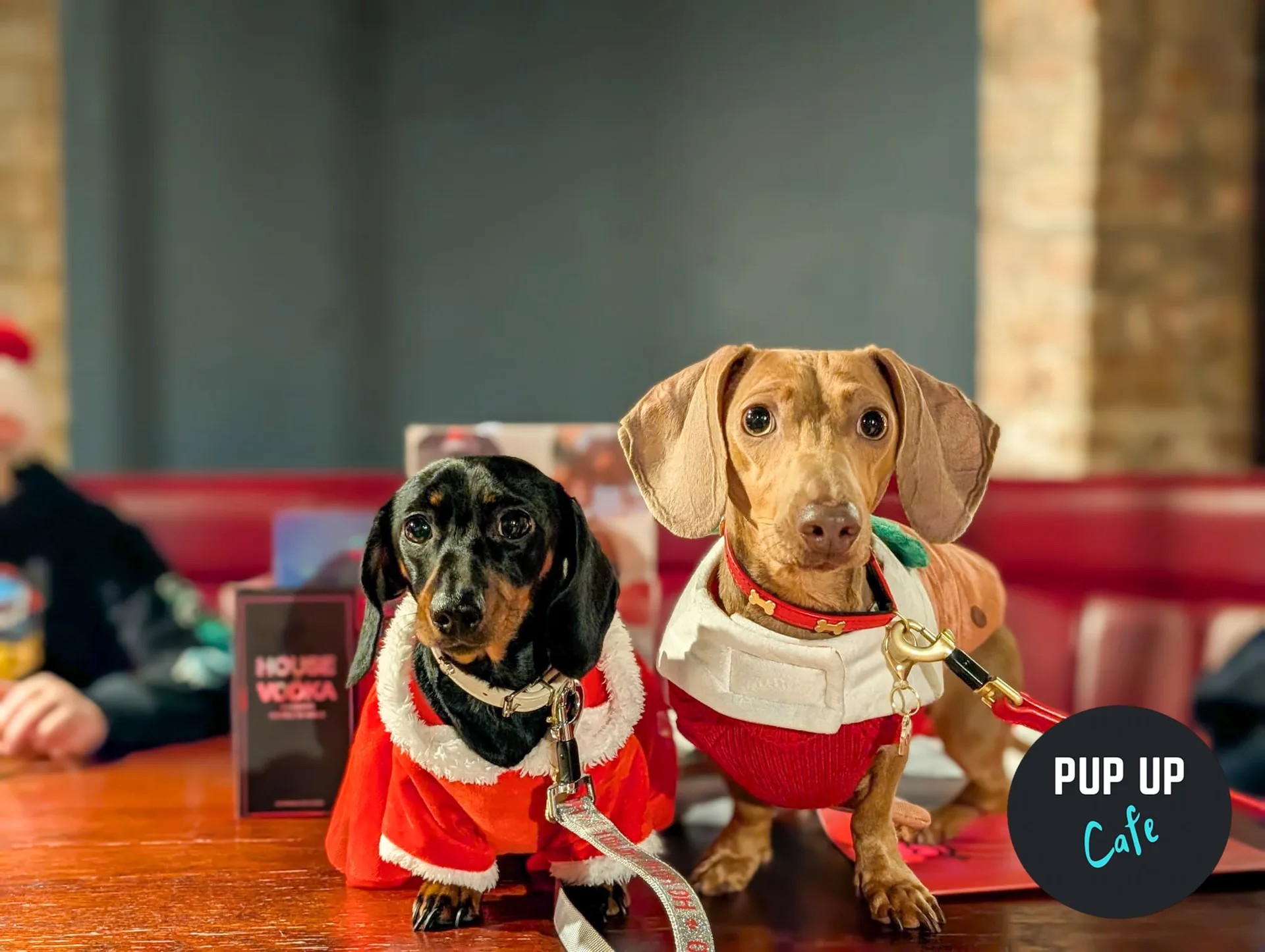 Manchester - Dashing Dachshund Christmas Tour 🎄 at Manahatta Deansgate