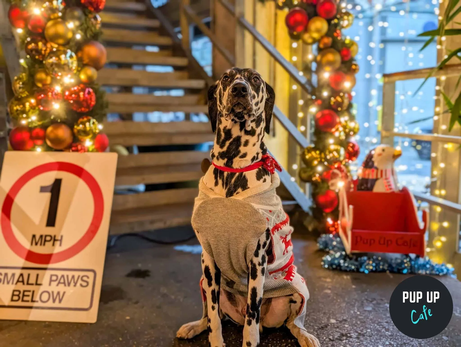 Sheffield - King Sized Canines Christmas Tour🎄 at The Head of Steam Sheffield