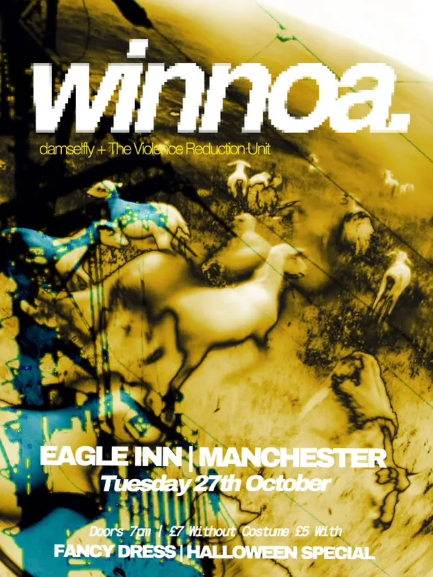 winnoa. + damselfly & The Violence Reduction Unit @Eagle Inn 27/10/26 Halloween Special