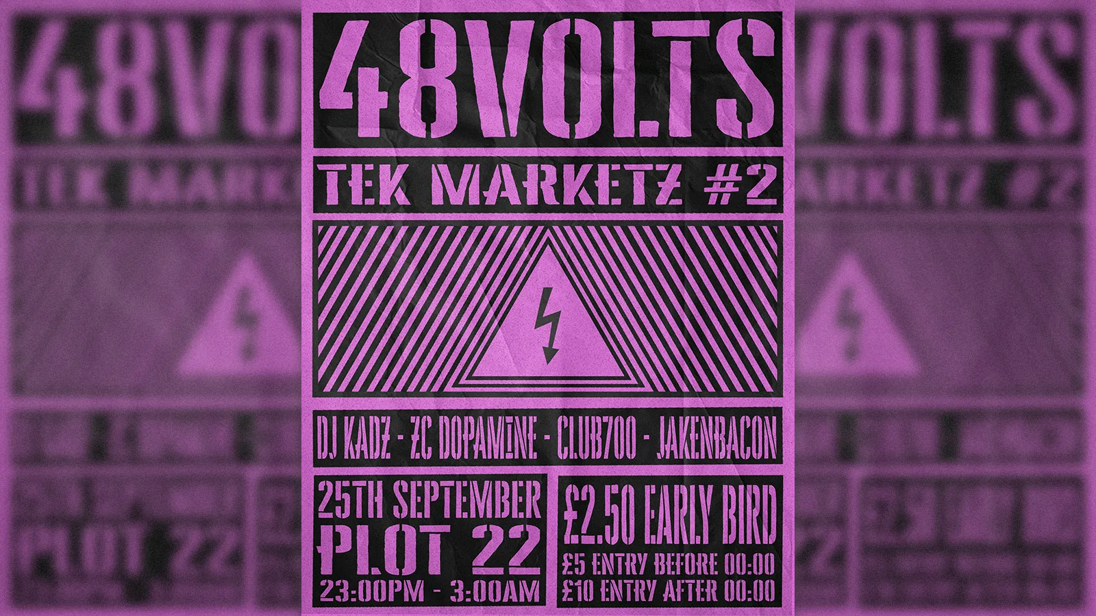 LOCAL w/ 48volts: TEK MARKETZ #2 at Plot 22