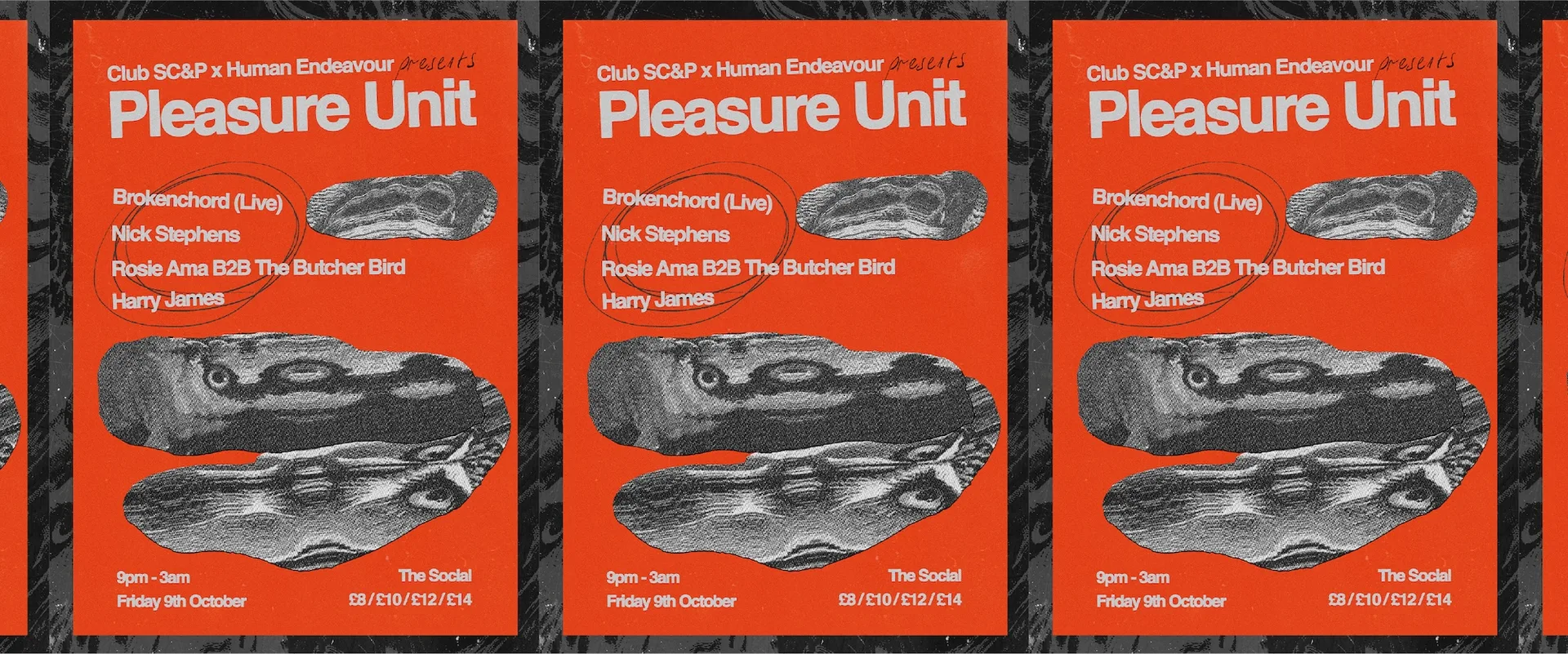 Pleasure Unit: Brokenchord (Live) + Rosie Ama + The Butcher Bird + Nick Stephens + Harry James
