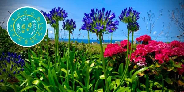 Walk Talk Kernow Cape Cornwall Penzance