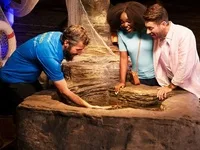 Sea Life London Aquarium 5 Way Multi Attractions Passes at Shrek's Adventure London