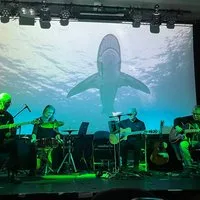 Acoustic Floyd at The Continental