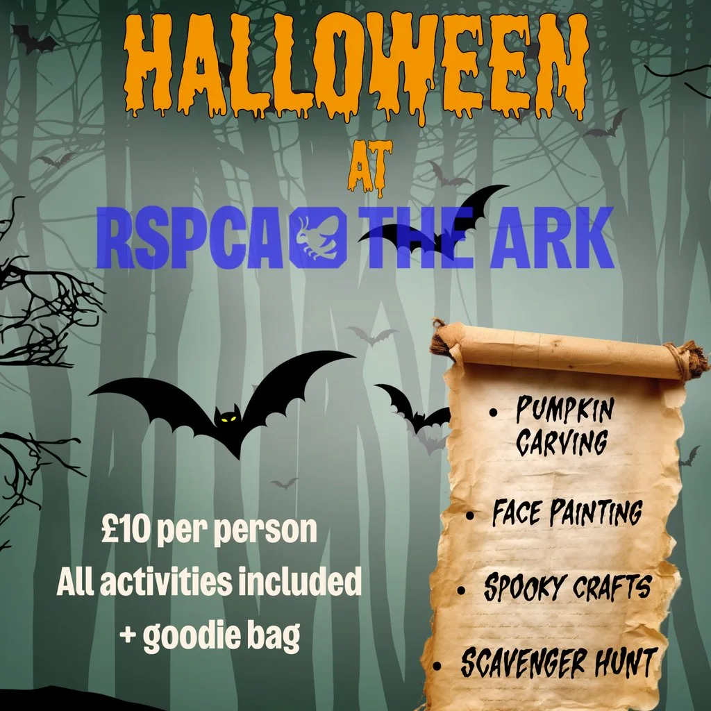 Half Term Halloween at The Ark at RSPCA Solent Branch CIO
