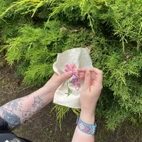Botanical Slow Stitching with Sorrell Kerrison at Astley Hall Coach House And Park