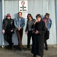 Flamin' Groovies at 229