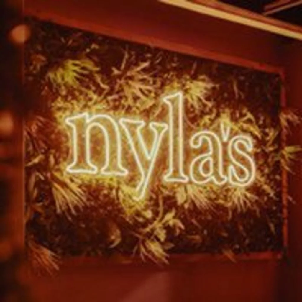 Nyla's-Pussycat Dolls -Officially Unofficial Concert After Party