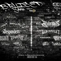 Bruised youth fest 2 day ticket