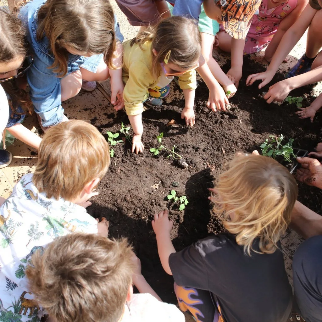 Kids gardening club & make your own pizza at Electric Daisy