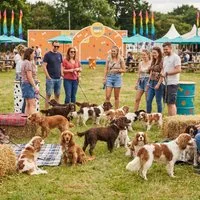 DogFest on the Farm at Harewood House