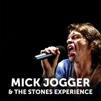 Mick Jogger & The Stones Experience at Salisbury Arts Centre