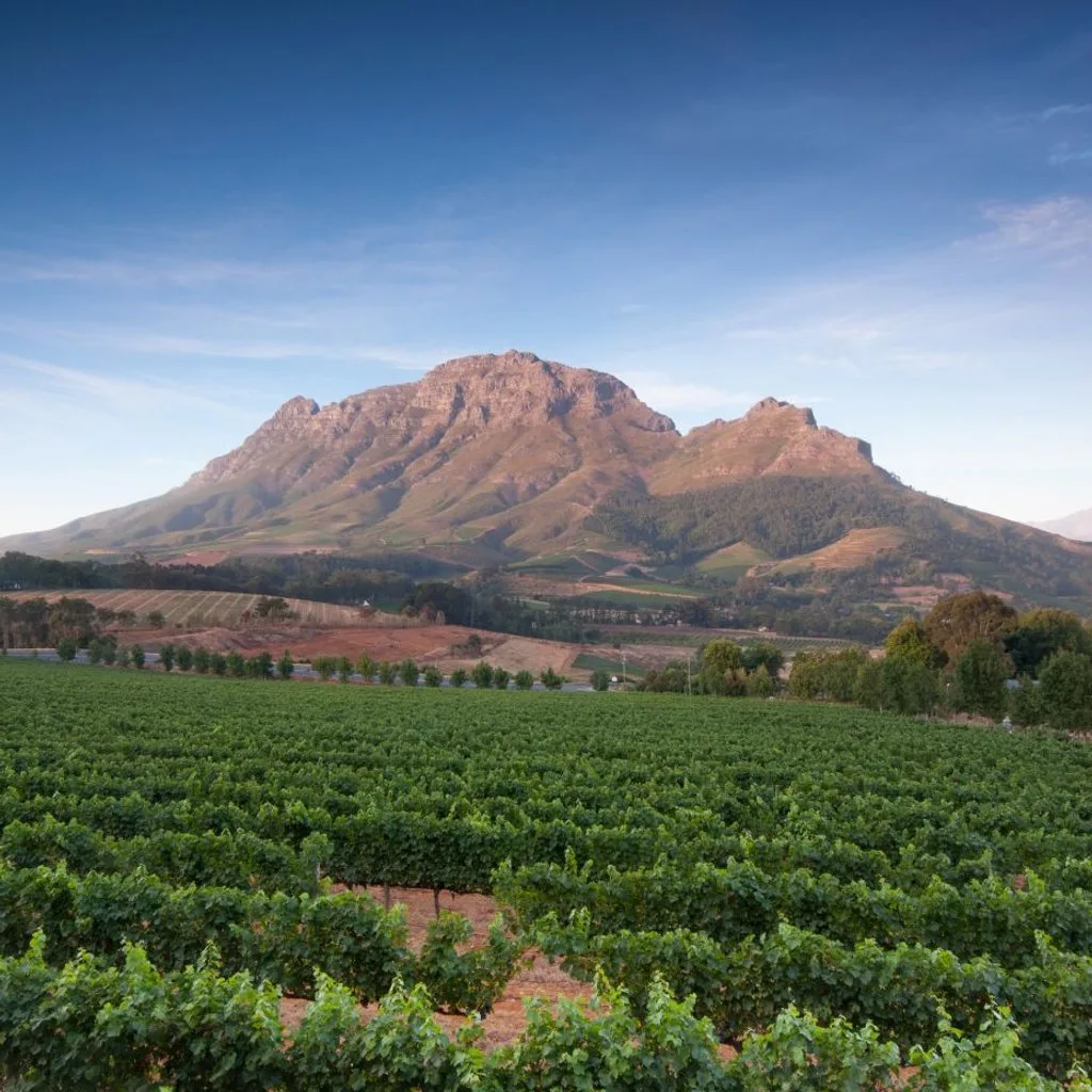 World of Wine: South Africa and the USA.