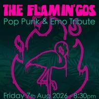 THE FLAMIN'GOS - Pop-punk/Emo anthems @ Black Cat at Black Cat Bridgend