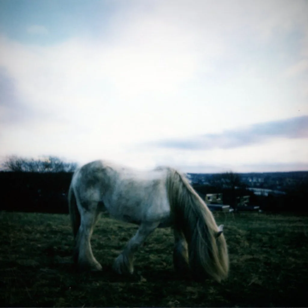 Dean McPhee + The Horse Loom at The Triangle Shipley