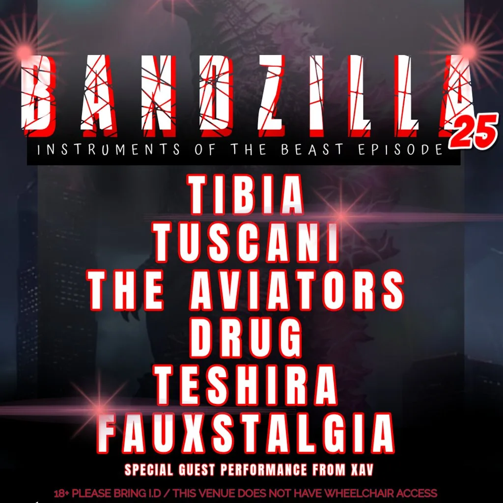 Big Condo Records Presents Bandzilla 25 at The Hold The Shipping Forecast