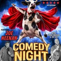 Comedy Night - Joe Heenan at Crook Of Devon Village Hall