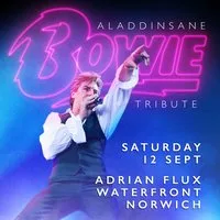 Aladdinsane - The Sound & Vision of Bowie tribute: Norwich at The Adrian Flux Waterfront