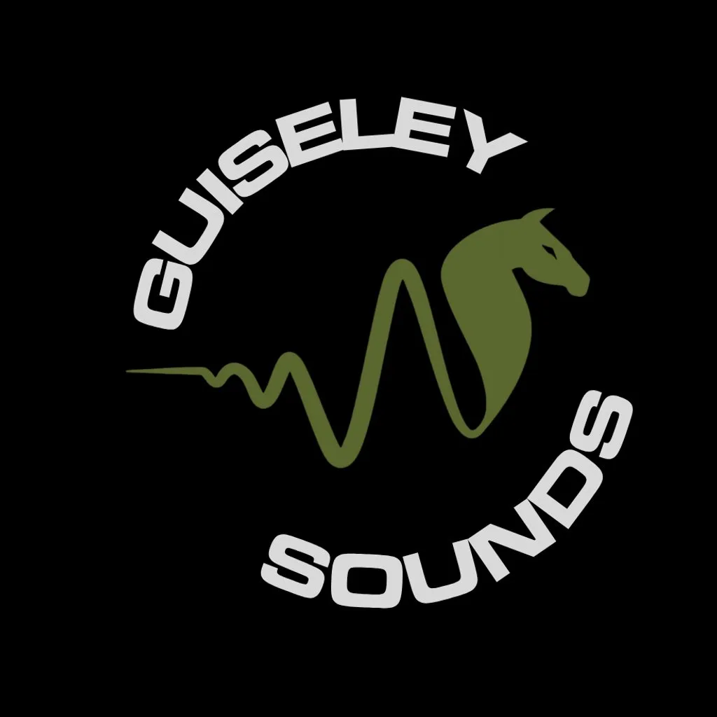 Guiseley Sounds Festival at Nethermoor Park