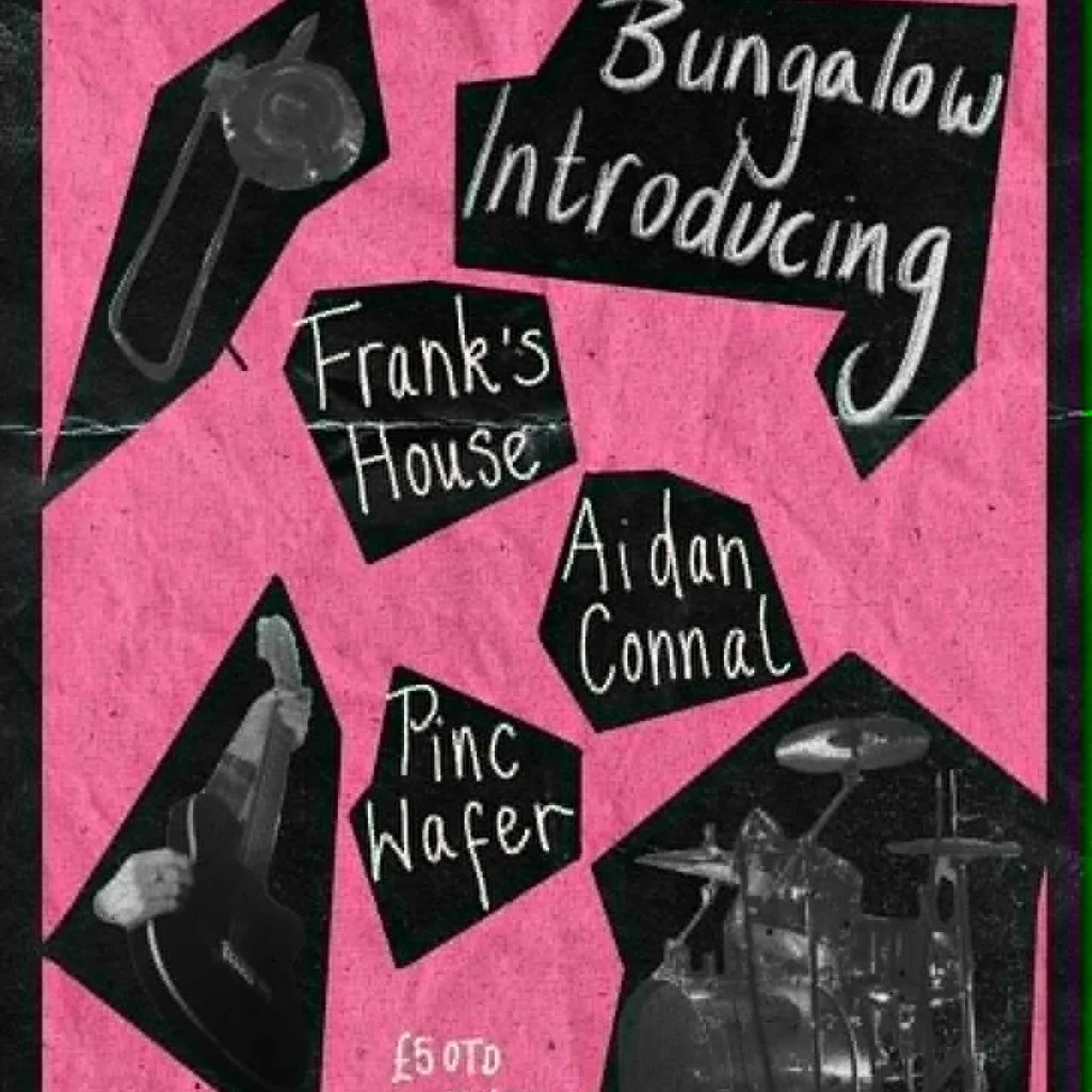 Frank's House, Pinc Wafer and Aidan Connell at The Bungalow Bar