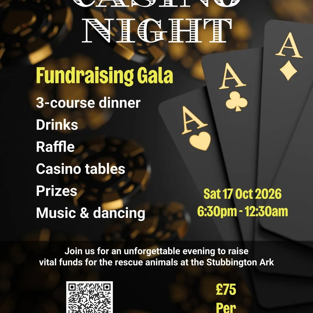 Stubbington Ark Gala Dinner Casino Night at Solent Hotel And Spa