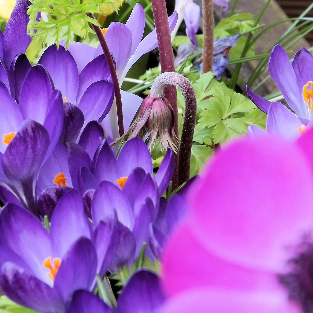 A Splash of Colour Photography Exhibition at Bray House, Ascot House And Osprey House
