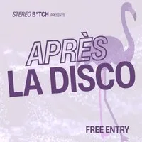 Stereo B*tch presents: Après La Disco at TBA - The Church, Canal St.