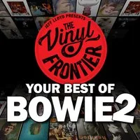 The Vinyl Frontier: Your Best of Bowie 2 at Norden Farm Centre For The Arts