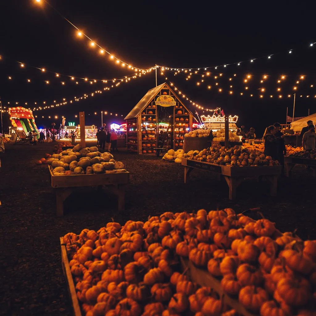 Pumpkin Patch Nights at Avon Valley Adventure Park