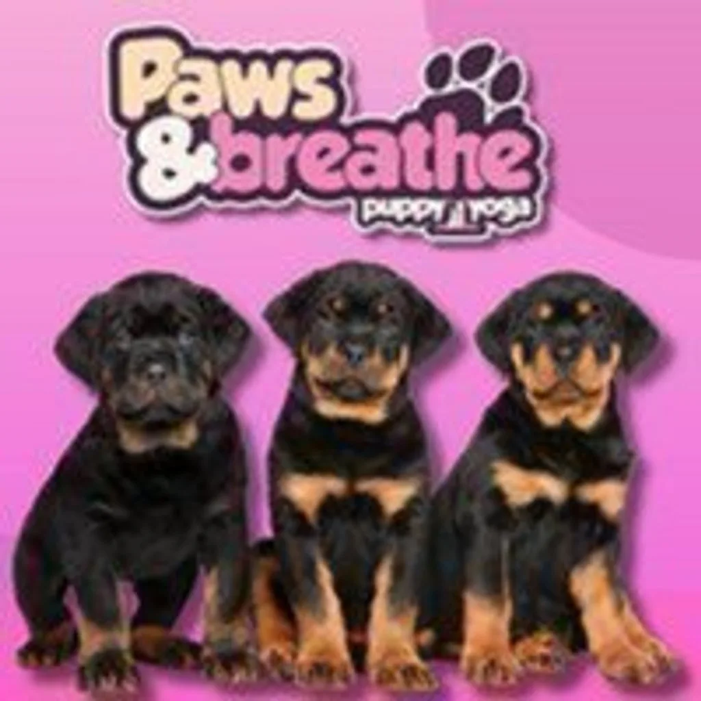 Puppy yoga Birmingham