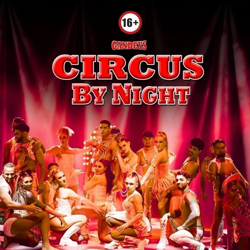 Gandeys Circus by Night Nottingham at Wollaton Hall Park
