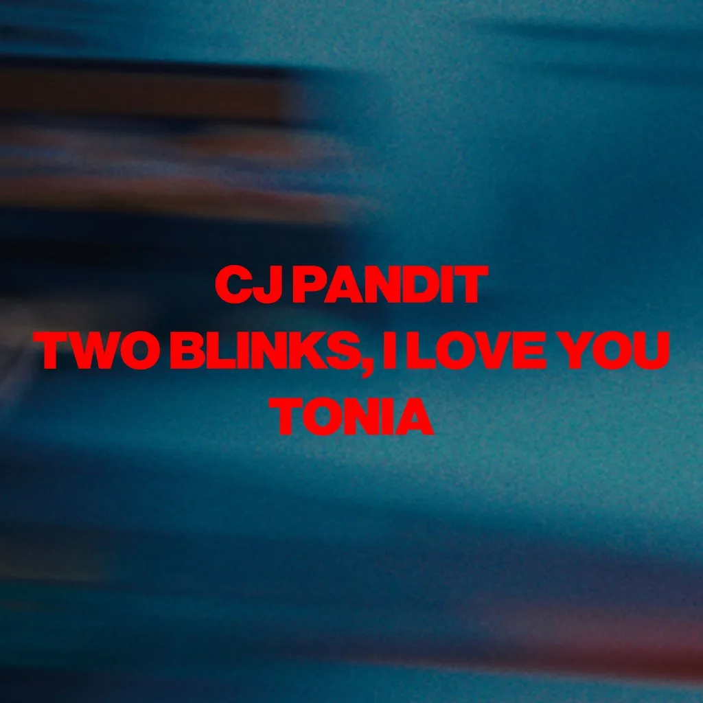 Cj Pandit, Two Blinks i Love You, Tonia at The Cardigan Arms