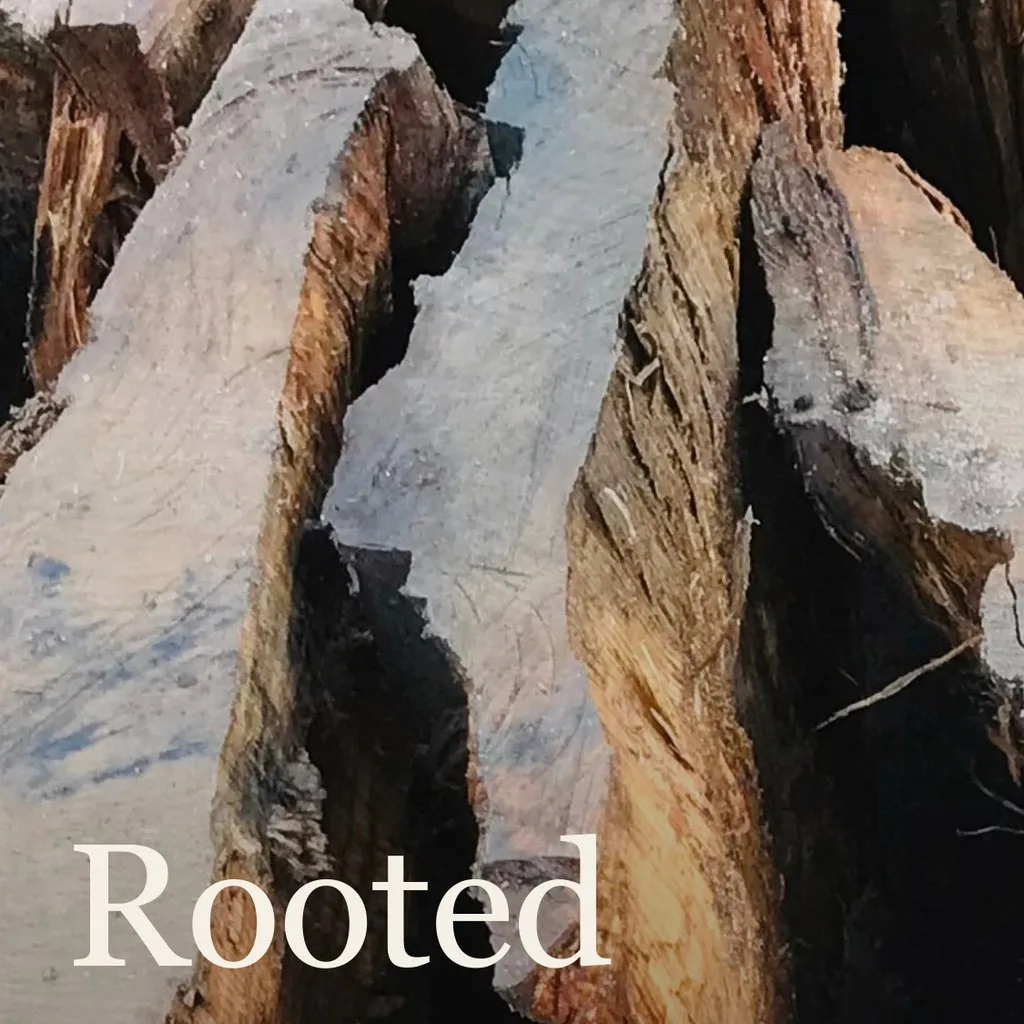 The Rooted at St Nicholas Priory