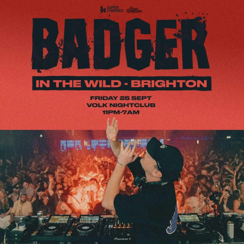 Badger In the Wild at The Volks