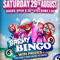 Barmy Bingo - Bridgend at Luna Live Lounge