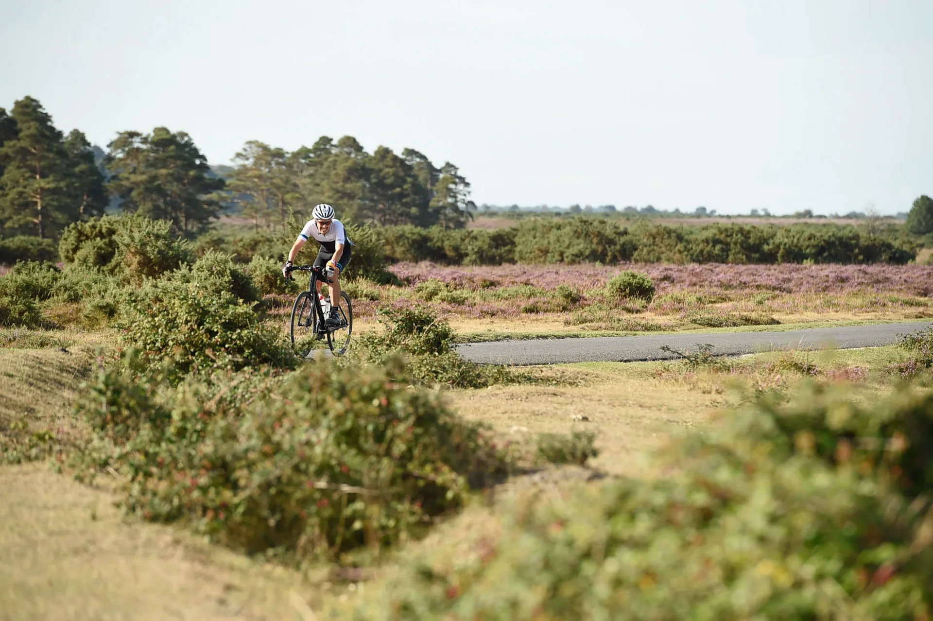 New Forest Triathlon