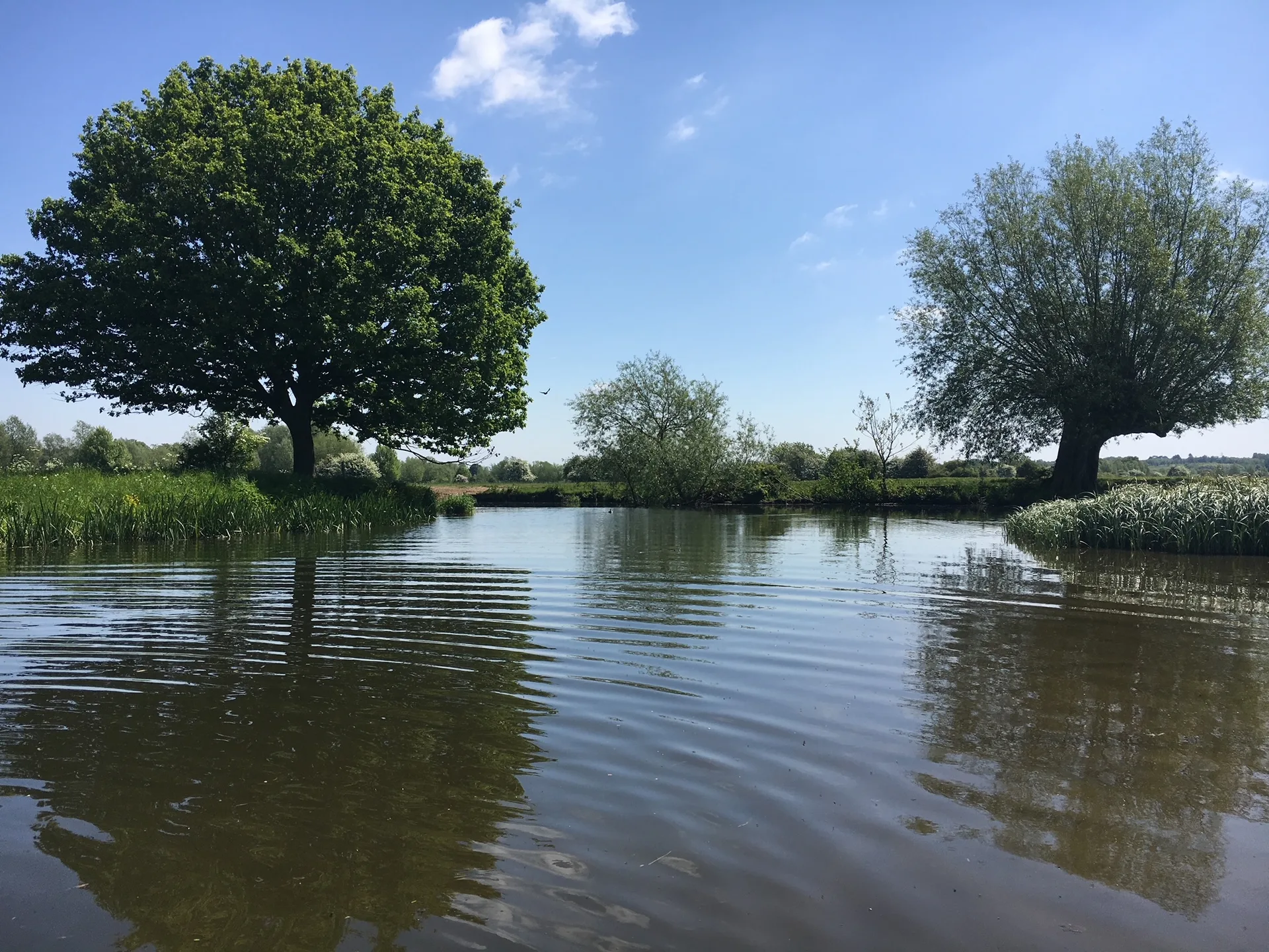 Stour Valley Marathon & Half at Nayland Village Hall