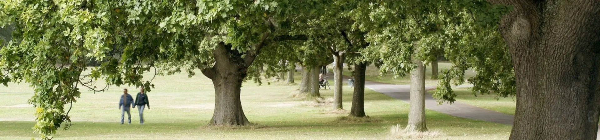 Southampton Common 10K Charity Fun Run at Cemetery Road