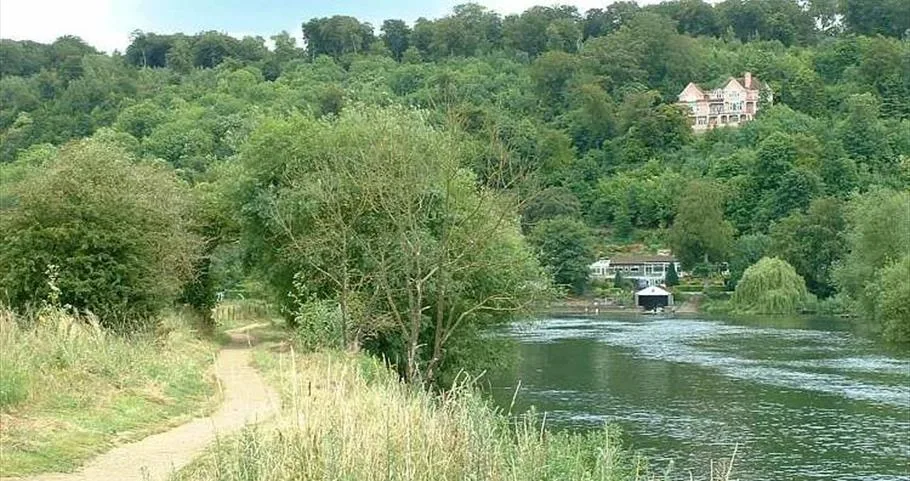 Magna Carta Spring