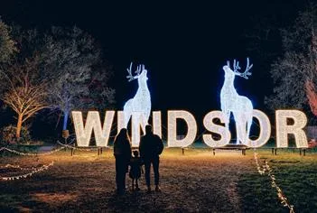 Windsor Great Park Illuminated at The Savill Garden