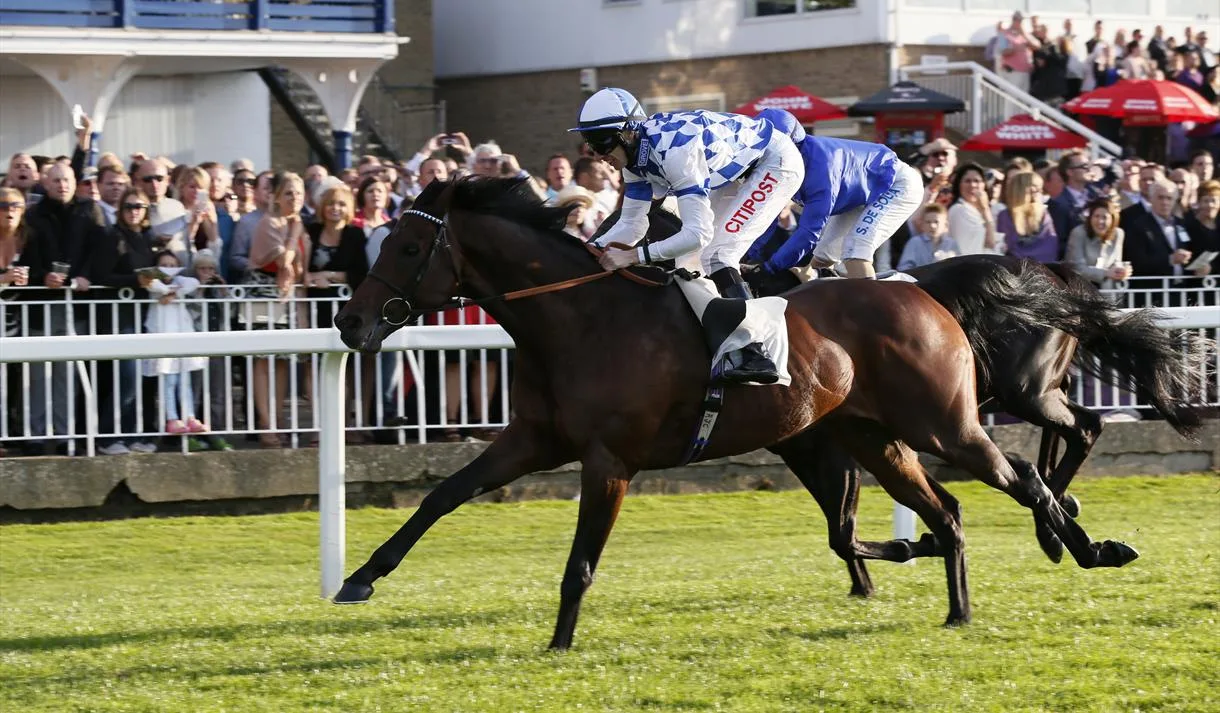 Party in the Paddock Racenight at Royal Windsor Racecourse
