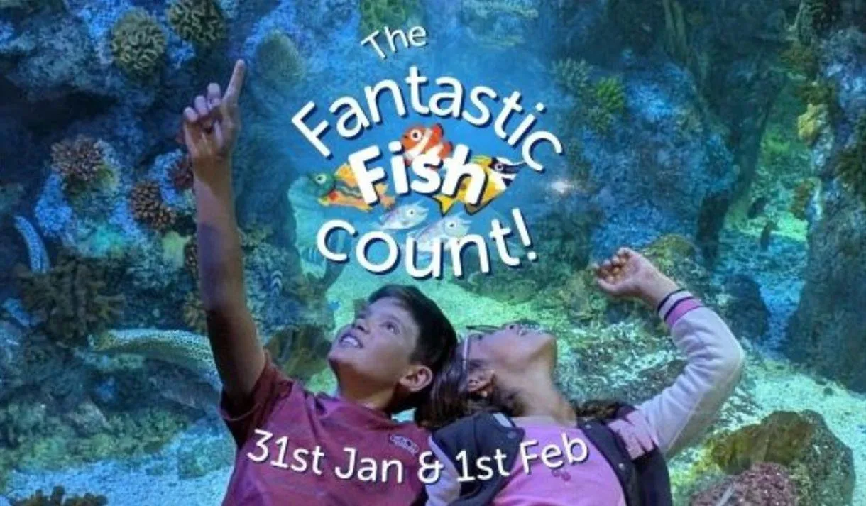 Conservation Carnival at Bristol Aquarium at Bristol Aquarium